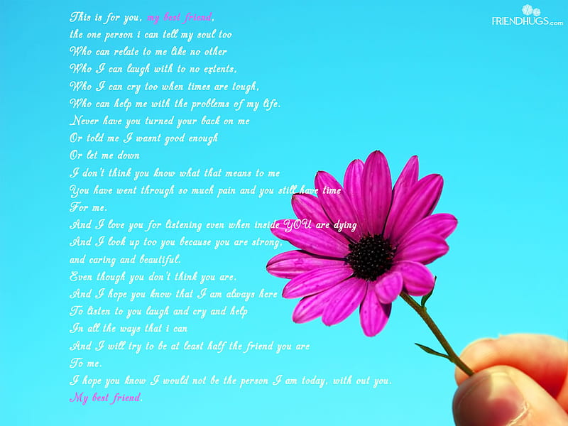Friendship Poem, pink flower, poem, friendship, HD wallpaper