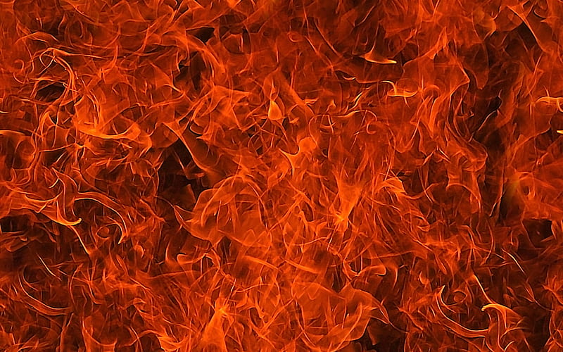 fire textures fireplace, bonfire, fire flames, orange fire texture, fire backgrounds, HD wallpaper