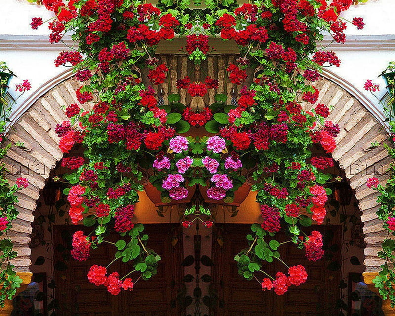 Flower Gate, gate, flowers, bloom, door, HD wallpaper | Peakpx