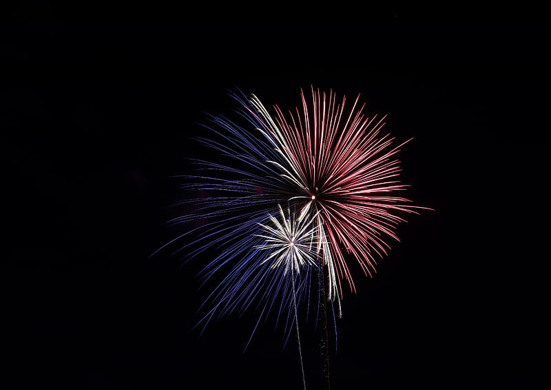 fireworks, salute, night, sparks, HD wallpaper