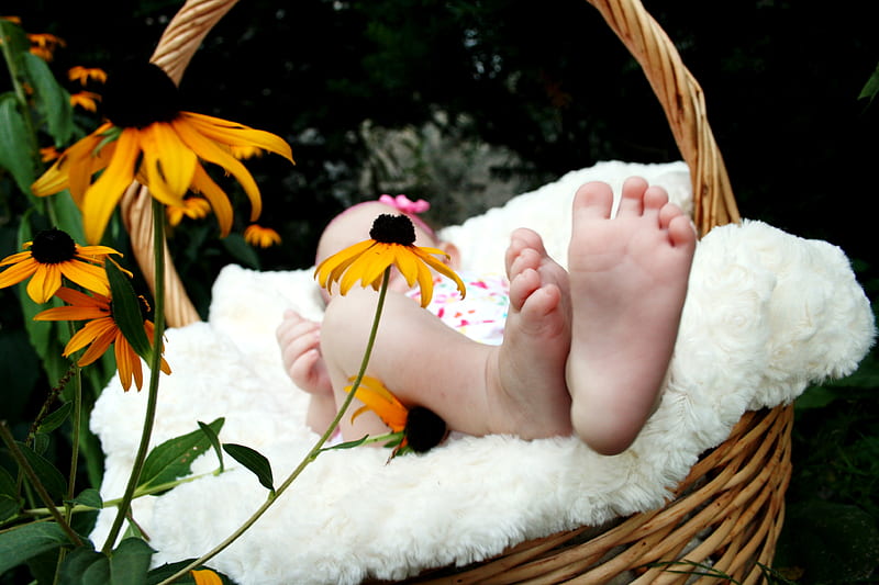 baby laying on brown wicker basket, HD wallpaper