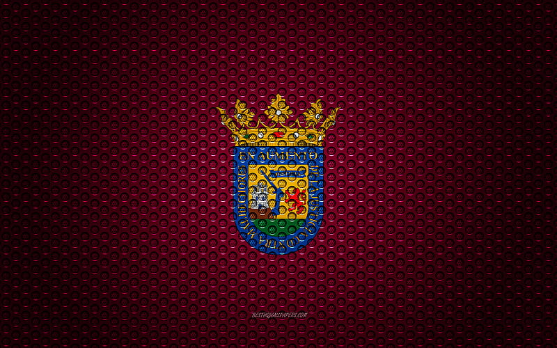 Flag of Alava creative art, metal mesh texture, Alava flag, national symbol, provinces of Spain, Alava, Spain, Europe, HD wallpaper