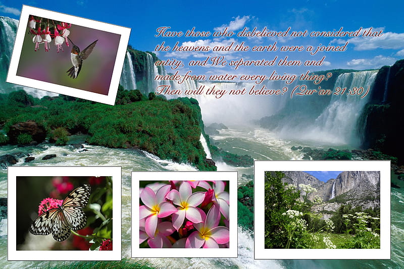 a verse from the book of guidance, birds, waterfall, flowers, brazil waterfall, HD wallpaper