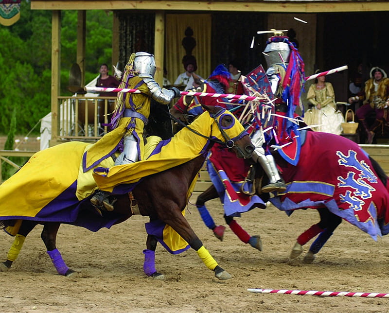 Texas Renaissance Festival, festival, knights, renaissance, jousting, HD wallpaper