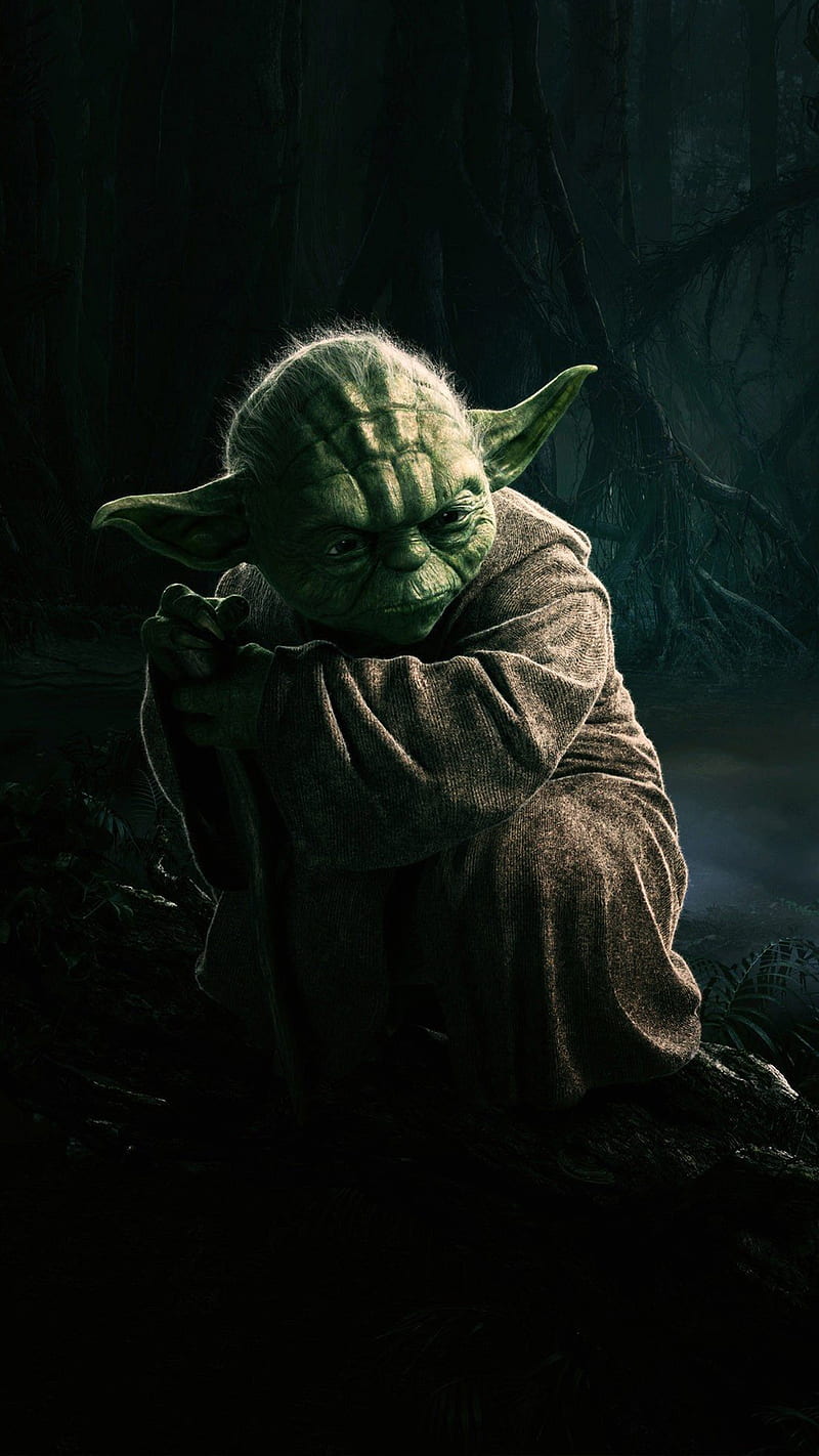 Master Yoda, master, star wars, yoda, HD phone wallpaper