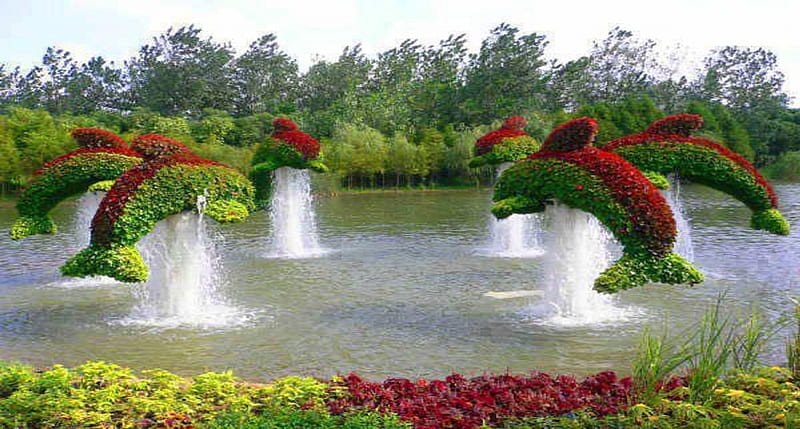 dolphins, flowers, water, fountains, china, HD wallpaper
