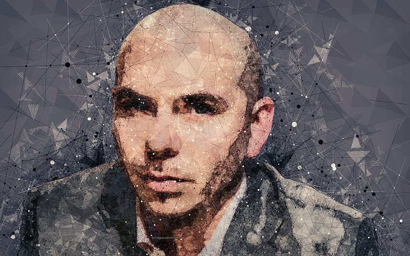Pitbull, American rapper face, creative art portrait, geometric art, Mr Worldwide, Armando Christian Perez, rap, USA, HD wallpaper