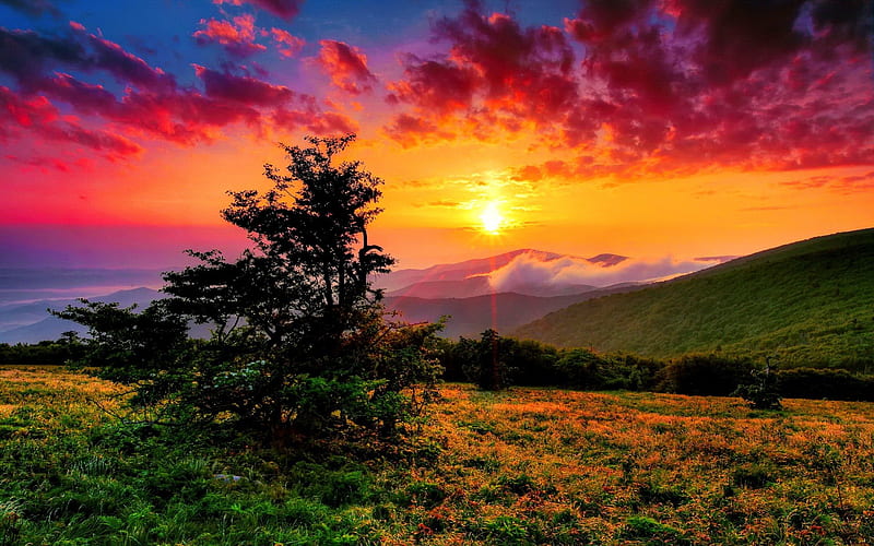 Brilliant sunrise over western North Carolina, colorful, sun, grass, fiery, bonito, sunset, clouds, mountain, nice, brilliant, Carolina, sunrise, amazing, North, lovely, west, sky, tree, nature, meadow, field, HD wallpaper