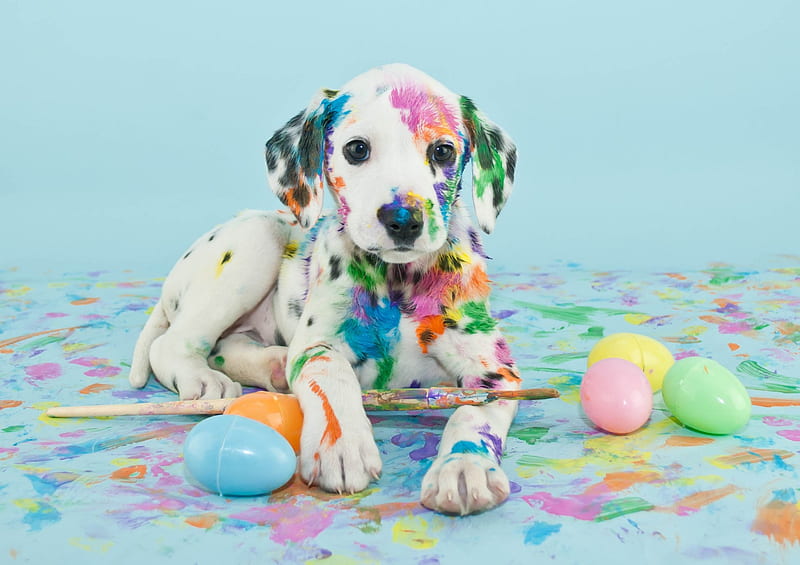 Easter Puppy, Easter, paint, eggs, paint brush, dalmatian, brush, puppy, dog, HD wallpaper