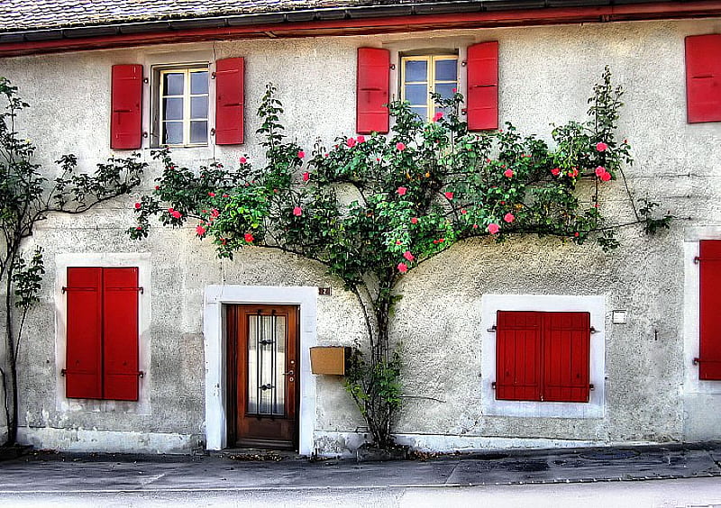 Old house, red, greece, house, home, flowers, village, white, HD wallpaper