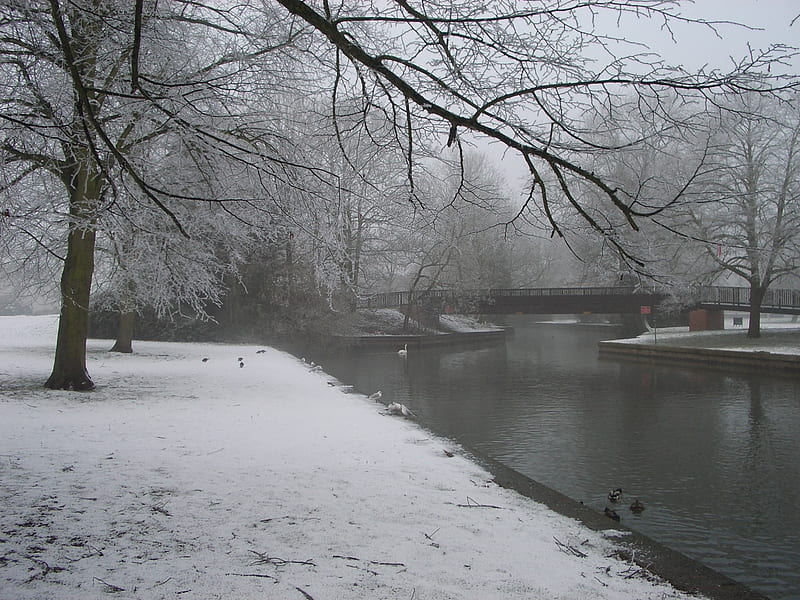 Thames River Windsor England, ice, snow, HD wallpaper