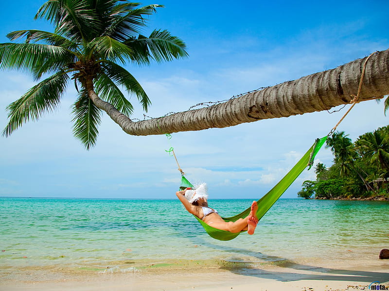 Tropical Paradise, resting, palm, quiescency, touch-down, crutch, nice, stones, multicolor, jaw, repose, relaxation, pillow-block, take a rest, quiescence, white, bonito, break, leaves, sand, dossrest, leisure, pillow, lie by, shadow, sleeping, halt, network, recumbence, nature, truce, respire, unyoke, oceans, recumbency, breathe, saddle, bracket, hammock, beach, stand, lounge, wawe, beauty, rest, trees, water, cool, beaches, awesome, palm tree, time-out, colorful, sleep, landing, trunks, sea, refreshment, recess, on the, amazing, placement, clear, transparent, colors, layover, respite, leaf, girl, plants, island, colours, natural, HD wallpaper