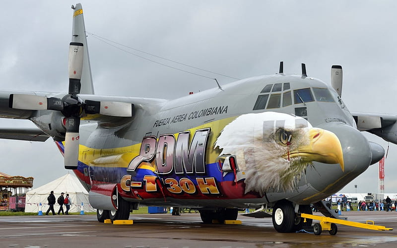 c-130 hercules eagle, military, paint job, tarmac, palne, HD wallpaper