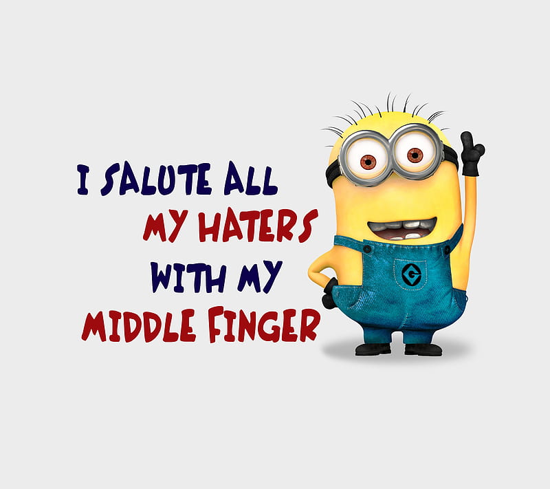 My Haters, attitude, awesome, cool, funny, hate, hater, love, middle, minion, HD wallpaper