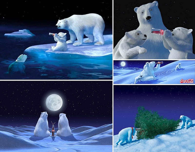 Coke polar bear, cute, coca cola, christmas, bear, polar, animal, HD wallpaper