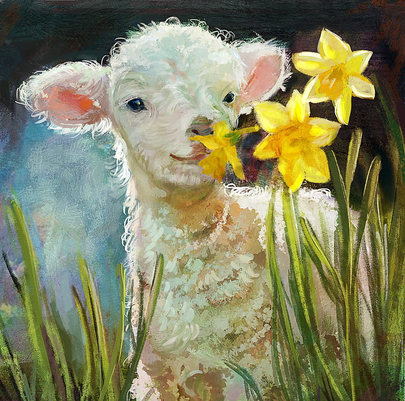 Lamb, painting, daffodil, yellow, spring, pictura, animal, art, miel, easter, HD wallpaper