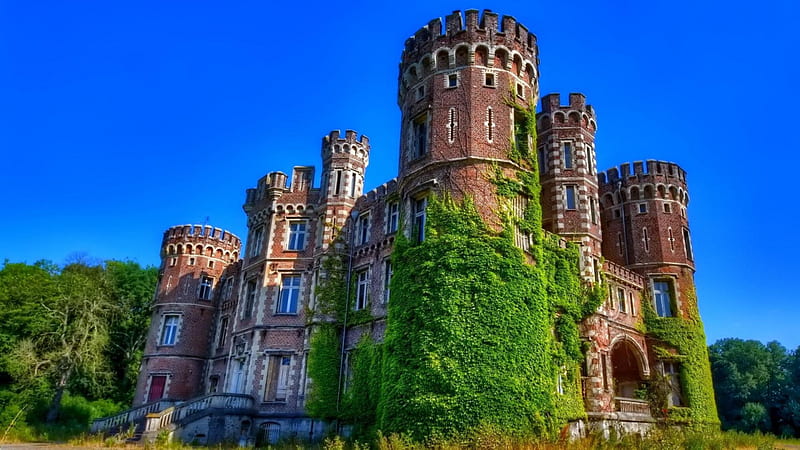 wonderful old castle r, towers, vines, r, castle, sky, HD wallpaper