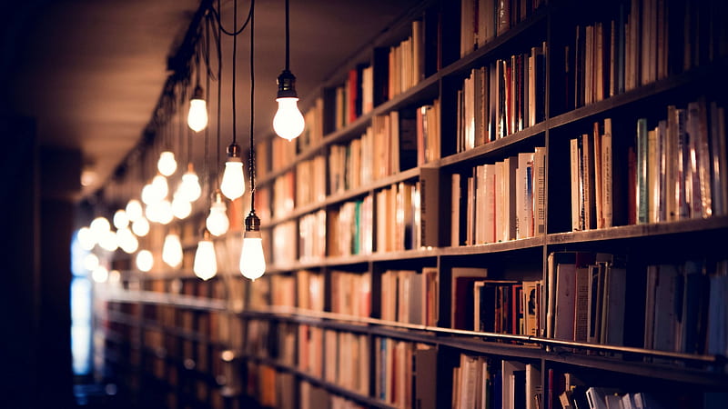/ books, library, shelves, lighting,, Beautiful Library Book, HD wallpaper