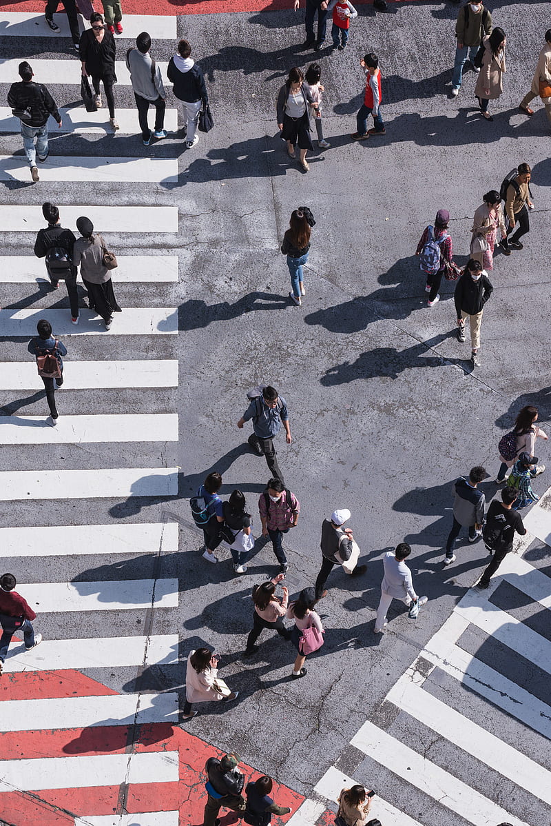 aerial graphy of people crossing pedestrian lane, HD phone wallpaper