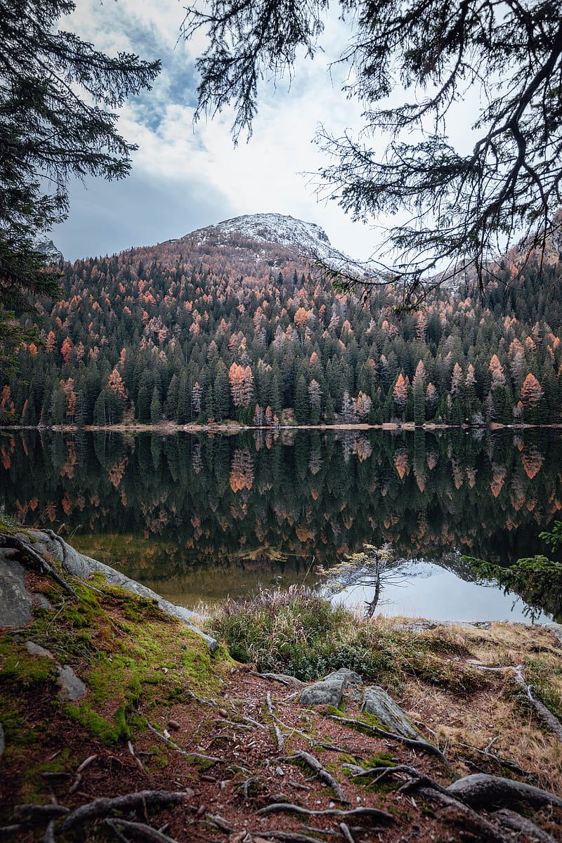mountain, lake, trees, water, reflection, HD phone wallpaper