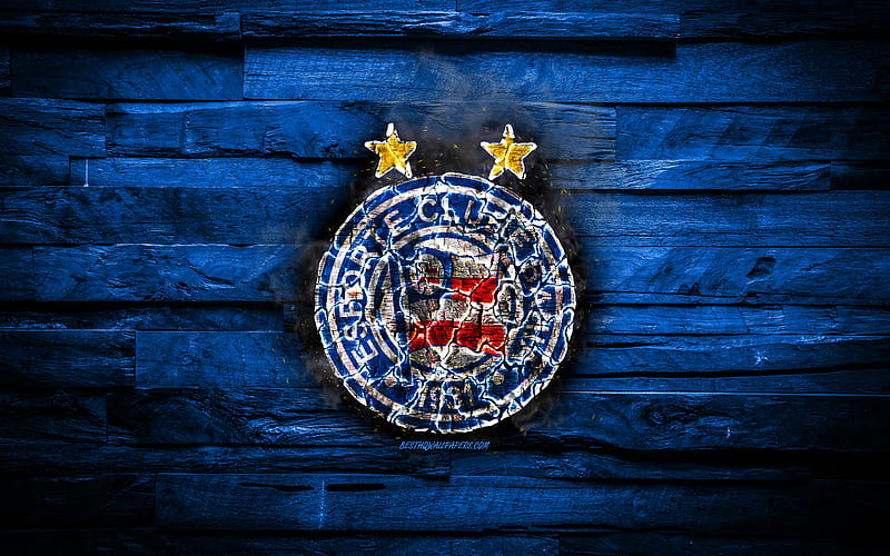 EC Bahia, burning logo, Seria A, blue wooden background, brazilian football club, grunge, Bahia FC, football, soccer, Bahia logo, fire texture, Brazil, HD wallpaper