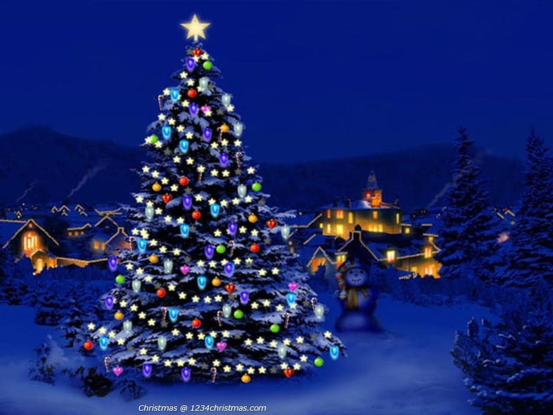 big beautiful lighted tree, tree, christmas, night, lights, HD wallpaper