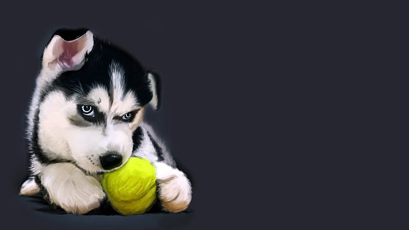 Puppy, paw, caine, black, animal, cute, ball, green, white, husky, dog, HD wallpaper