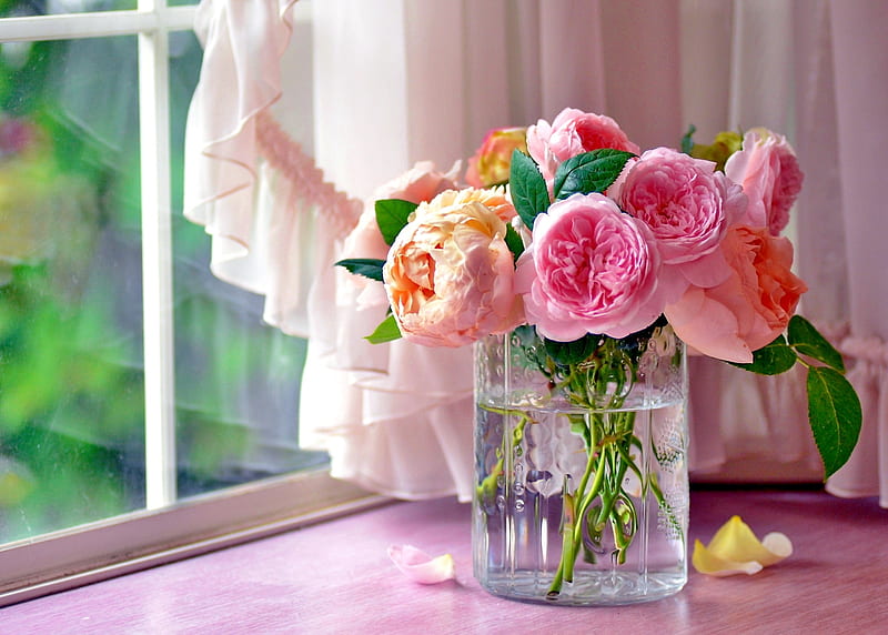 Roses, Pink, Vase, Window, bonito, Flowers, HD wallpaper