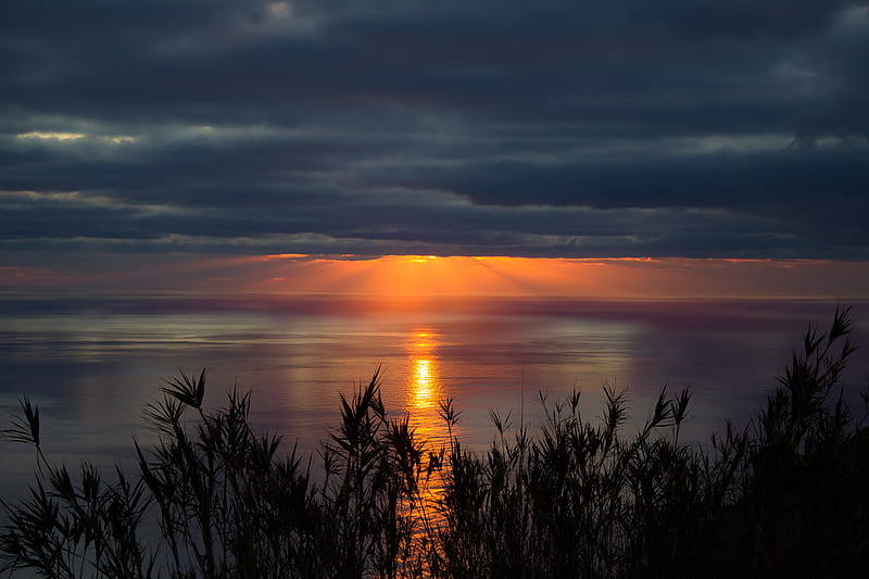 sea, horizon, sunset, clouds, grass, twilight, HD wallpaper