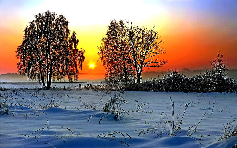 Winter Siberia, nature, siberia, winter, HD wallpaper