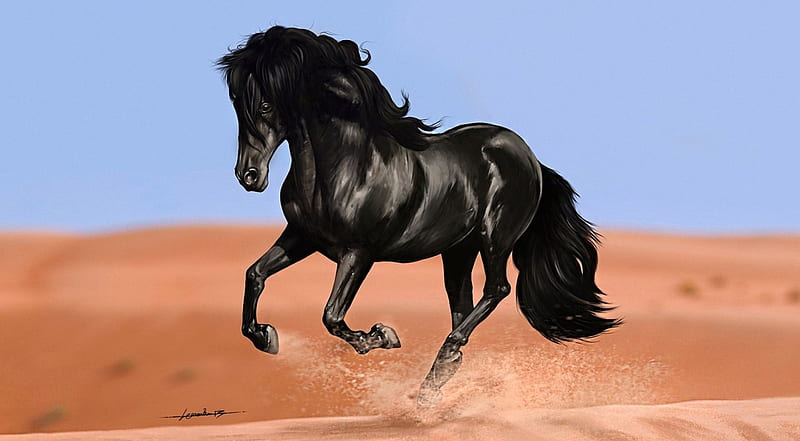 Black Beauty, stallion, sand, black, running, cavalo, caballo, horse, animals, HD wallpaper