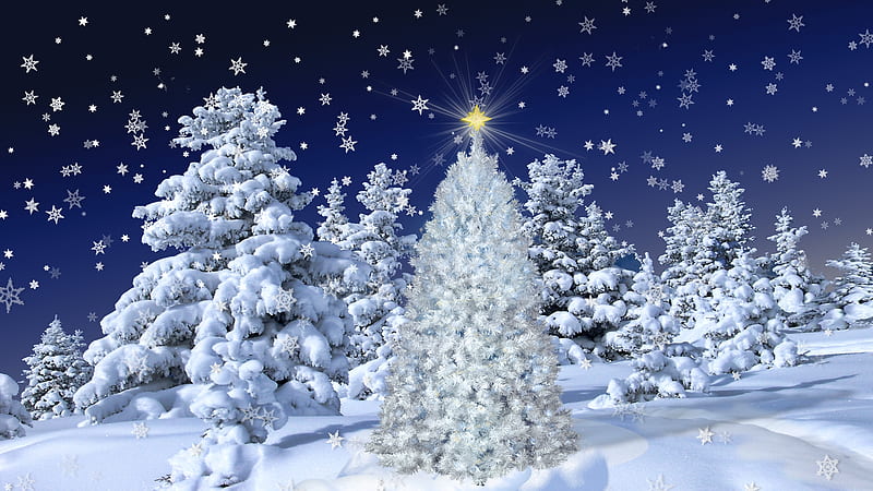 White Christmas, skies, holidays, snow, christmas, bright, white, winter, night, stars, HD wallpaper