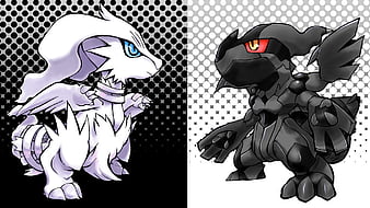 Reshiram - Pokémon - Zerochan Anime Image Board