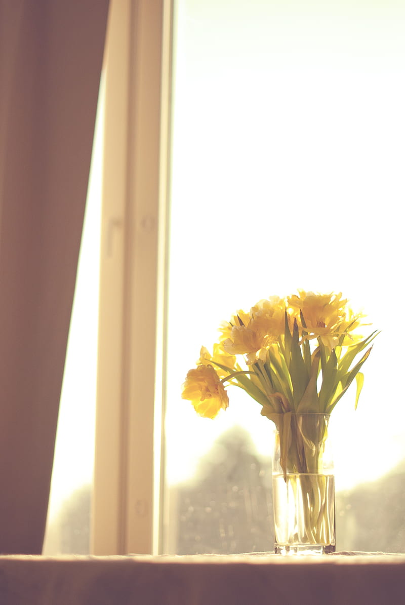flowers, yellow, bouquet, vase, window, light, HD phone wallpaper