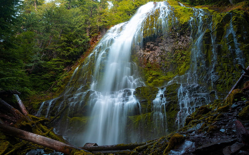beautiful waterfall, rocks, jungle, waterfalls, forest, USA, HD wallpaper