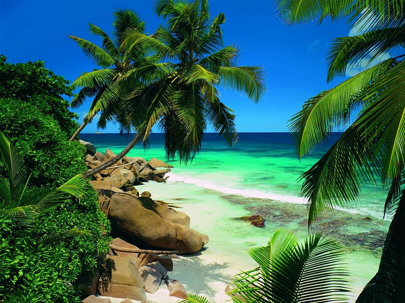 Seychelles, travel, bonito, clouds, sea, palm trees, beach, nice, green, tropics, blue, rest, vacation, lovely, holiday, ocean, relax, emerald, sky, palms, water, summer, nature, tropical, sands, HD wallpaper
