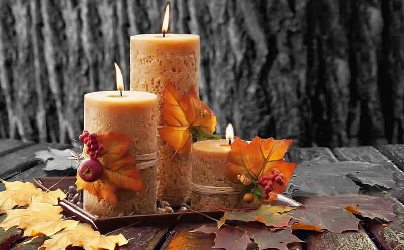 Αutumn candles, Decorating, autumn, orange, three, seasons, lights, candles, still life, leaves, gris, HD wallpaper