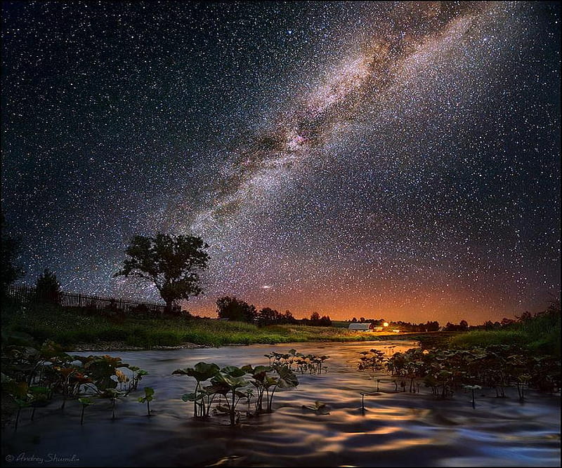The Milky Way., tree, sun, water, milky way, sky, star, HD wallpaper