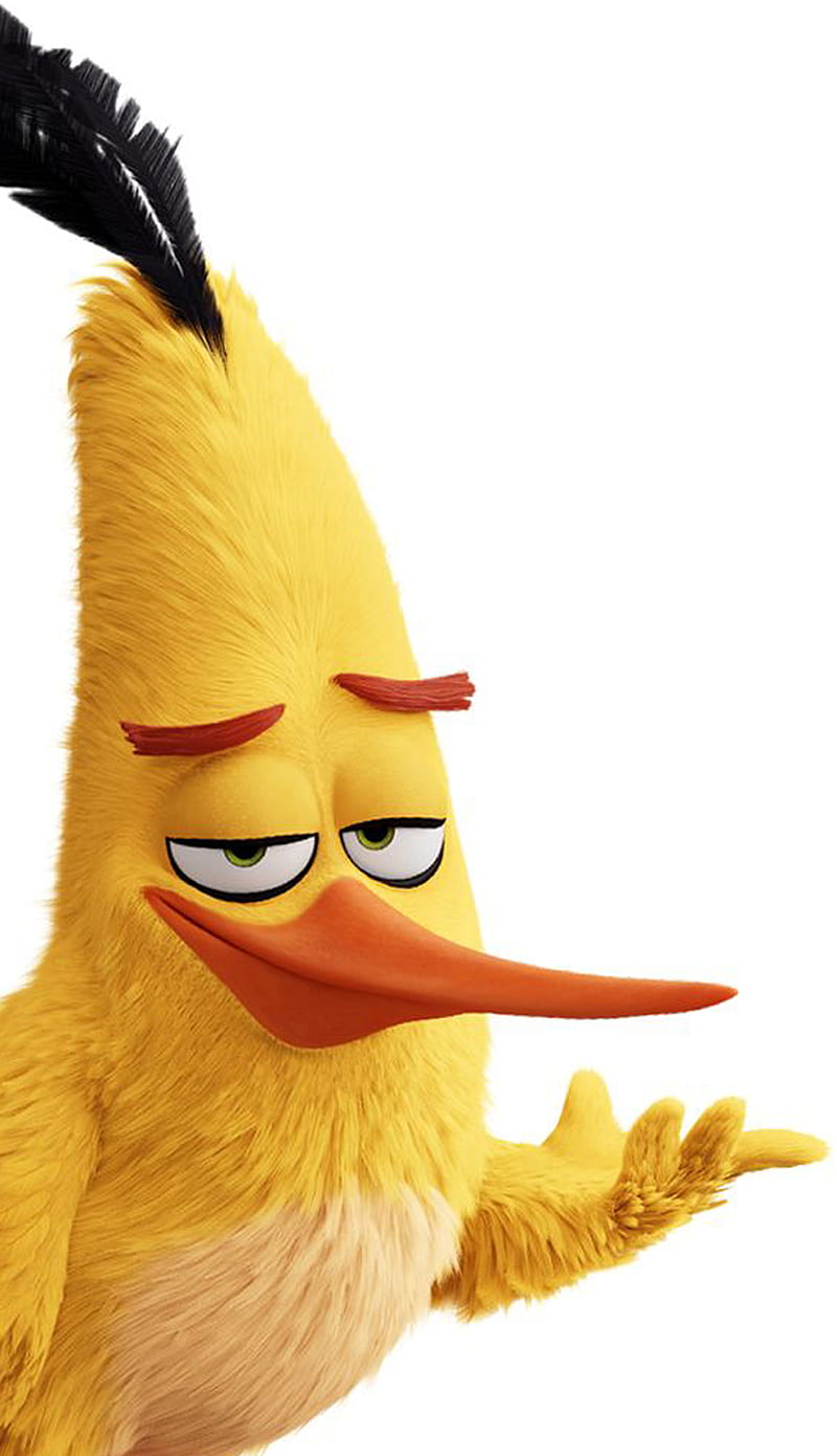 Funny bird, 2019, angry, birds, chuck, funny, HD phone wallpaper
