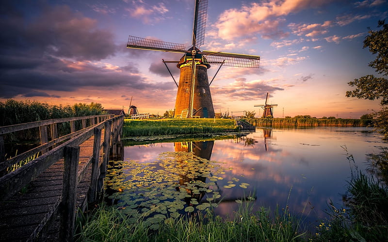 Windmills, sunset, river, field, Netherlands, HD wallpaper