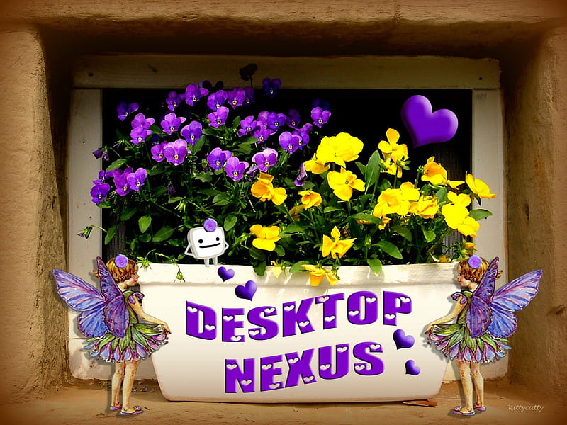 Nexus Pansies , wally, yellow, Pansy, contest, spring, Pansies, purple, Nexus, heart, summer, fairies, flowers, nature, HD wallpaper