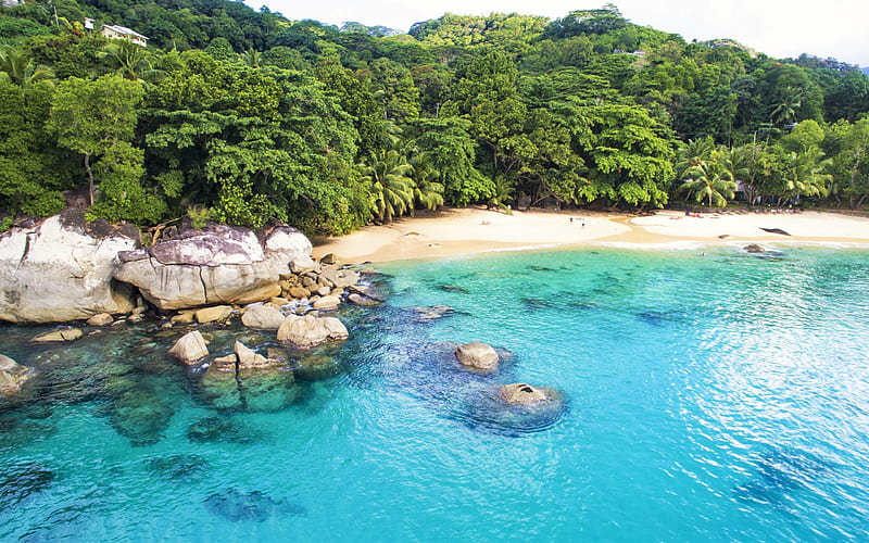 Seychelles, Ocean, beach, palms, summer, Indian Ocean, HD wallpaper
