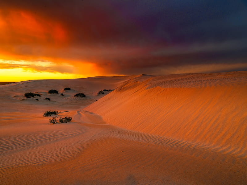 Dunes at Eucla, Australia, sunset, sand, storm, landscape, HD wallpaper