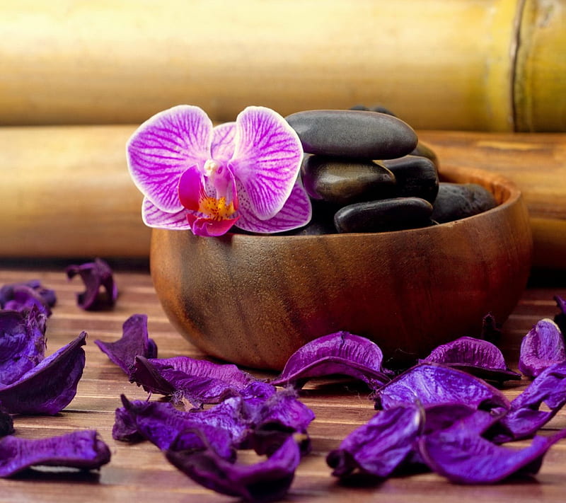 Relaxing Spa, moments, relax, orchid, flowers, spa, purple therapy, petals, HD wallpaper
