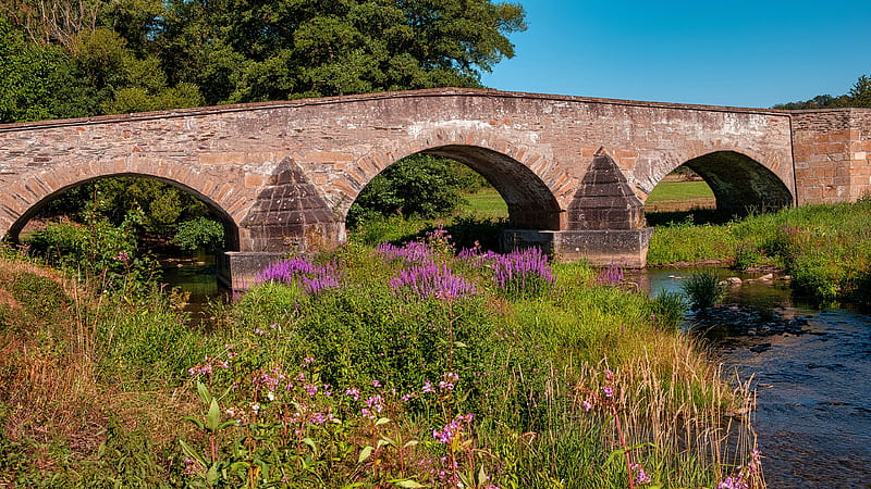 Arch Bridge And River With Plants And Flowers Nature, HD wallpaper