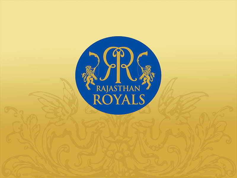 Rajasthan Royals, indian premier league, 2008, dlf, mark, rajasthan, 2010, rr, t20, sport, logowall, entertainment, 2009, team, ipl, cricket, HD wallpaper
