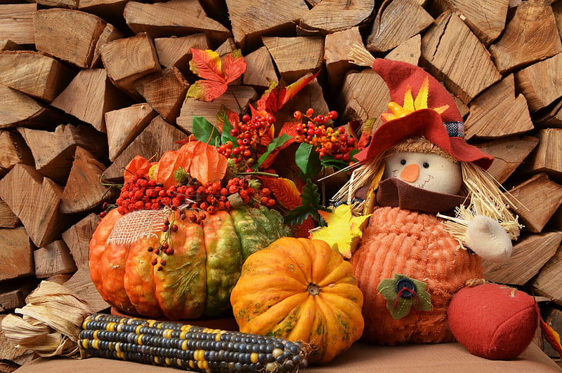 Fall Season, autumn, leaves, puppet, corn cob, pumpkin, HD wallpaper