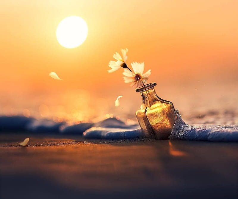 Perfume Bottle Essential Oil Background Wallpaper Image For Free Download -  Pngtree