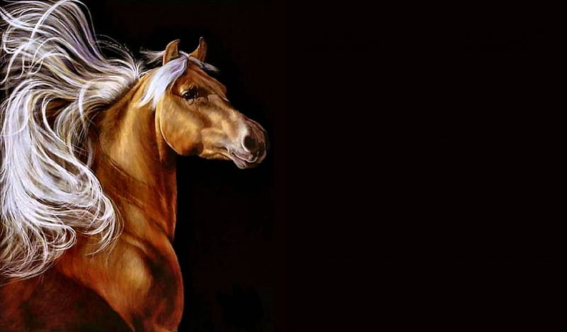 Palomino Horse F, art, palomino, equine, bonito, horse, artwork, animal,  painting, HD wallpaper | Peakpx