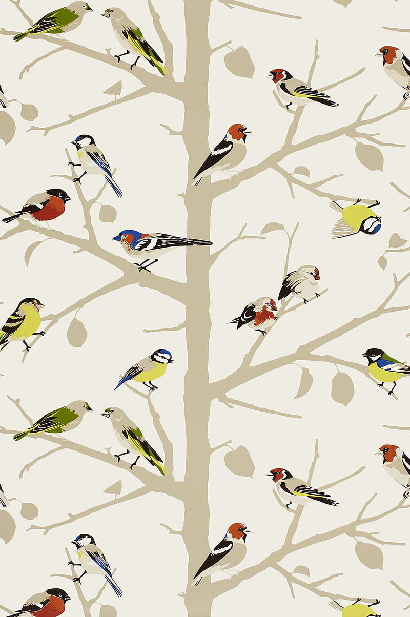 Finches, abstract, art, birds, cute, nature, pattern, HD phone wallpaper